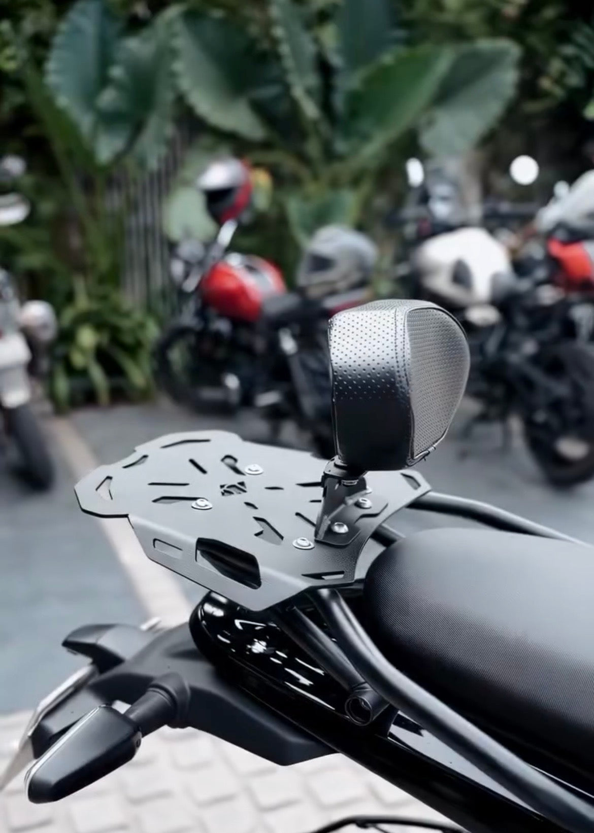 Carrier Plate For Himalayan 450 ( Black )