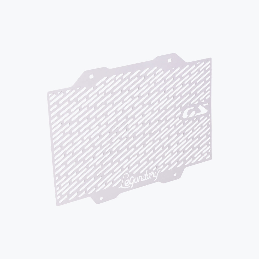 BMW F450 GS Radiator Grill Silver - close-up detail