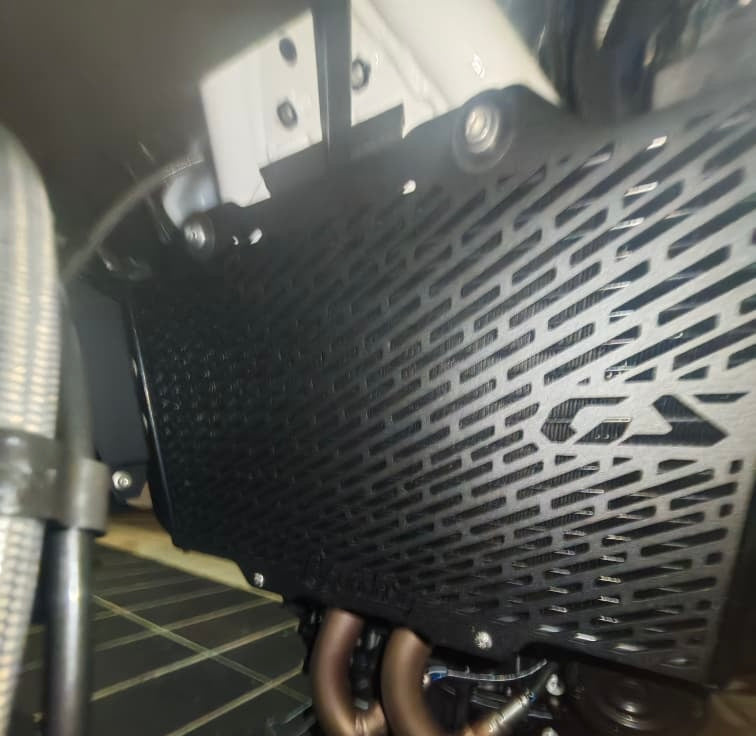 BMW F450 GS Radiator Grill Black - Radiator Guard