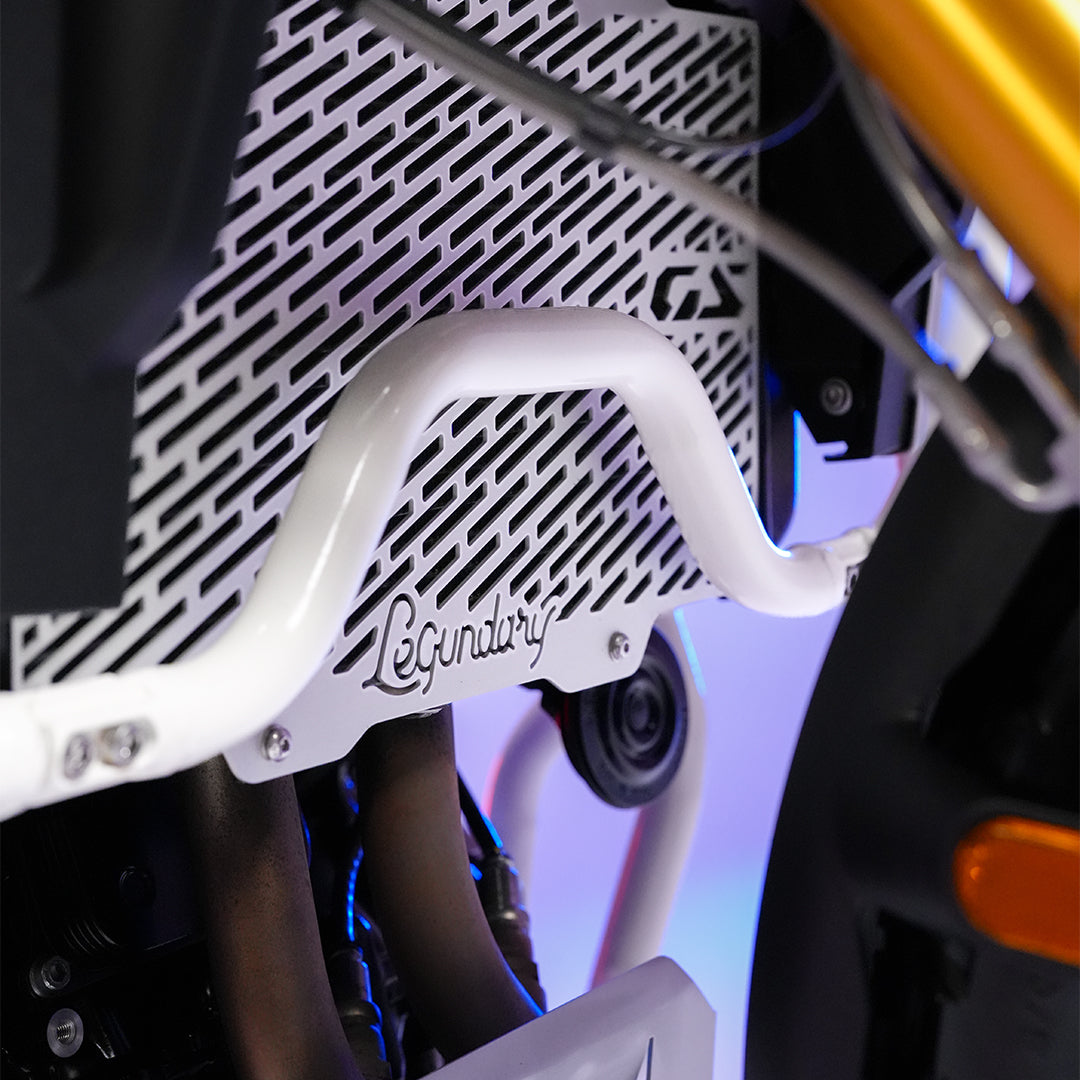 BMW F450 GS Radiator Grill Silver - installed on the motorcycle